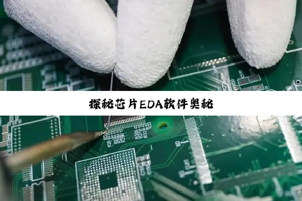 2024RISC-Vzhongguofenghui.jpg